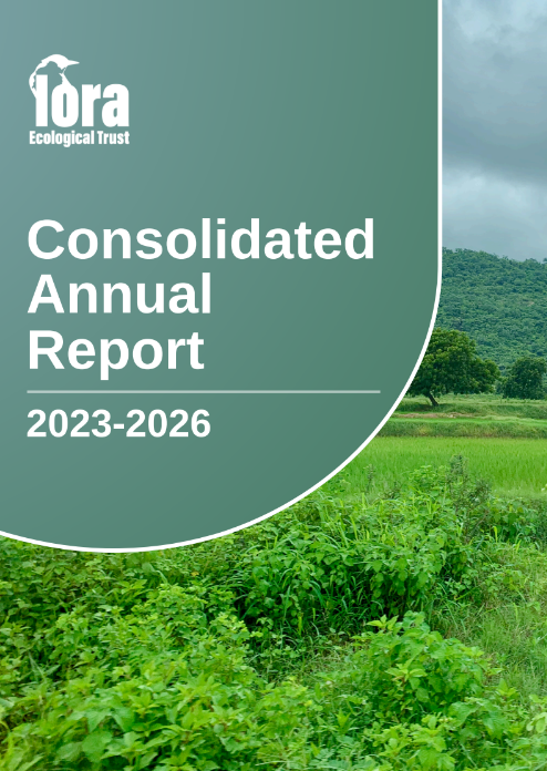 Consolidated Annual Report 2023–26