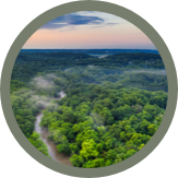 Carbon Credits